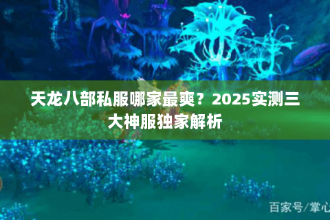 天龙八部私服哪家最爽?2025实测三大神服独家解析 天龙八部私服哪家最爽?2025实测三大神服独家解析