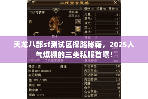 天龙八部sf测试区探路秘籍，2025人气爆棚的三类私服首曝！