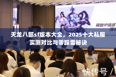 天龙八部sf版本大全,2025十大私服实测对比与零踩雷秘诀 天龙八部sf版本大全,2025十大私服实测对比与零踩雷秘诀