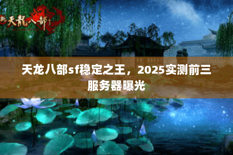 天龙八部sf稳定之王，2025实测前三服务器曝光