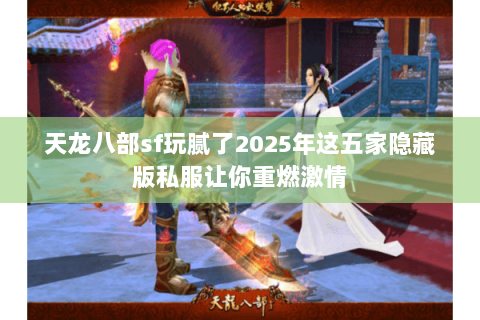 天龙八部sf玩腻了2025年这五家隐藏版私服让你重燃激情 天龙八部sf玩腻了2025年这五家隐藏版私服让你重燃激情