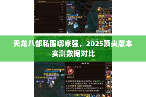 天龙八部私服哪家强,2025顶尖版本实测数据对比 天龙八部私服哪家强,2025顶尖版本实测数据对比