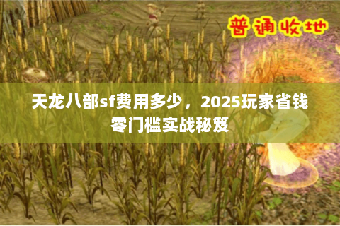 天龙八部sf费用多少，2025玩家省钱零门槛实战秘笈