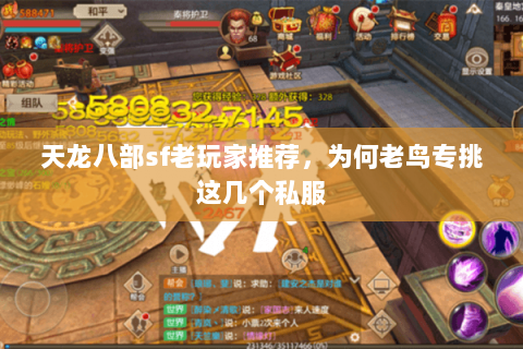 天龙八部sf老玩家推荐,为何老鸟专挑这几个私服 天龙八部sf老玩家推荐,为何老鸟专挑这几个私服