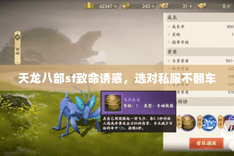天龙八部sf致命诱惑,选对私服不翻车 天龙八部sf致命诱惑,选对私服不翻车