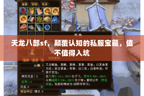 天龙八部sf,颠覆认知的私服宝藏,值不值得入坑 天龙八部sf,颠覆认知的私服宝藏,值不值得入坑