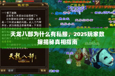 天龙八部为什么有私服，2025玩家数据揭秘真相指南