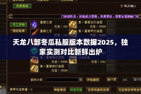 天龙八部冬瓜私服版本数据2025,独家实测对比新鲜出炉 天龙八部冬瓜私服版本数据2025,独家实测对比新鲜出炉