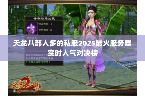 天龙八部人多的私服2025最火服务器实时人气对决榜 天龙八部人多的私服2025最火服务器实时人气对决榜