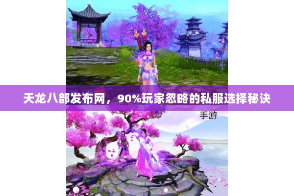 天龙八部发布网,90%玩家忽略的私服选择秘诀 天龙八部发布网,90%玩家忽略的私服选择秘诀