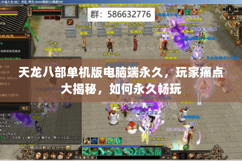 天龙八部单机版电脑端永久,玩家痛点大揭秘,如何永久畅玩 天龙八部单机版电脑端永久,玩家痛点大揭秘,如何永久畅玩