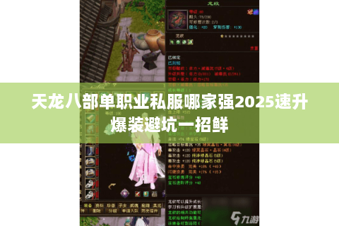 天龙八部单职业私服哪家强2025速升爆装避坑一招鲜 天龙八部单职业私服哪家强2025速升爆装避坑一招鲜