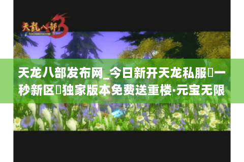 天龙八部发布网_今日新开天龙私服▷一秒新区◁独家版本免费送重楼·元宝无限刷