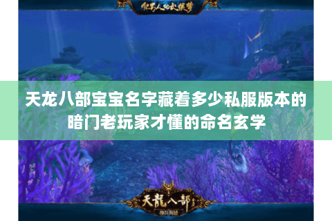 天龙八部宝宝名字藏着多少私服版本的暗门老玩家才懂的命名玄学 天龙八部宝宝名字藏着多少私服版本的暗门老玩家才懂的命名玄学