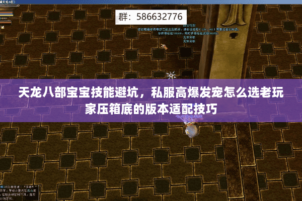 天龙八部宝宝技能避坑,私服高爆发宠怎么选老玩家压箱底的版本适配技巧 天龙八部宝宝技能避坑,私服高爆发宠怎么选老玩家压箱底的版本适配技巧