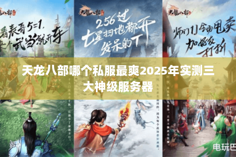 天龙八部哪个私服最爽2025年实测三大神级服务器