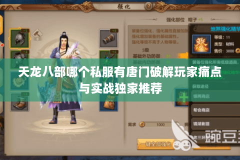 天龙八部哪个私服有唐门破解玩家痛点与实战独家推荐 天龙八部哪个私服有唐门破解玩家痛点与实战独家推荐