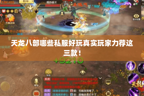 天龙八部哪些私服好玩真实玩家力荐这三款！