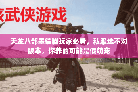 天龙八部墨镜猫玩家必看，私服选不对版本，你养的可能是假萌宠