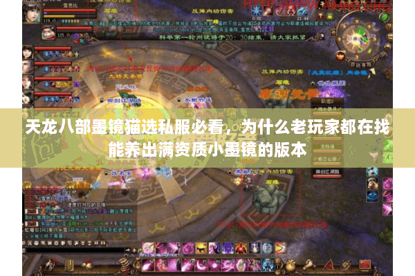 天龙八部墨镜猫选私服必看,为什么老玩家都在找能养出满资质小墨镜的版本 天龙八部墨镜猫选私服必看,为什么老玩家都在找能养出满资质小墨镜的版本