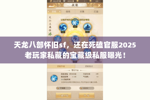 天龙八部怀旧sf，还在死磕官服2025老玩家私藏的宝藏级私服曝光！