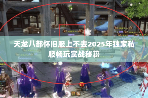 天龙八部怀旧服上不去2025年独家私服畅玩实战秘籍