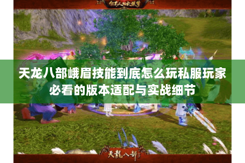 天龙八部峨眉技能到底怎么玩私服玩家必看的版本适配与实战细节 天龙八部峨眉技能到底怎么玩私服玩家必看的版本适配与实战细节