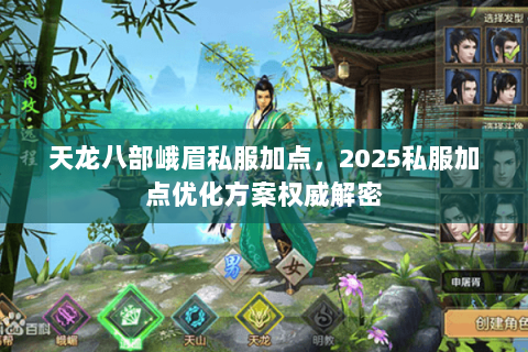 天龙八部峨眉私服加点,2025私服加点优化方案权威解密 天龙八部峨眉私服加点,2025私服加点优化方案权威解密
