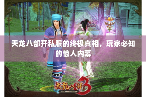 天龙八部开私服的终极真相,玩家必知的惊人内幕 天龙八部开私服的终极真相,玩家必知的惊人内幕