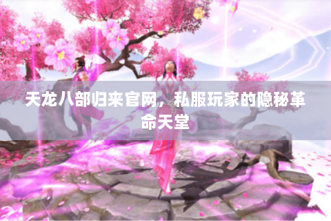 天龙八部归来官网，私服玩家的隐秘革命天堂