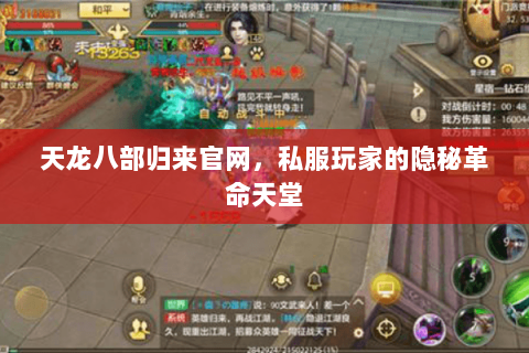 天龙八部归来官网，私服玩家的隐秘革命天堂