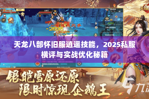 天龙八部怀旧服逍遥技能，2025私服横评与实战优化秘籍