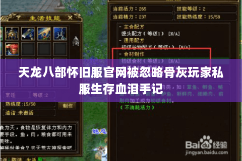 天龙八部怀旧服官网被忽略骨灰玩家私服生存血泪手记